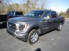 2023 Ford F150 Platinum $49,800