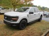 2024 Ford F150 STX Call for price